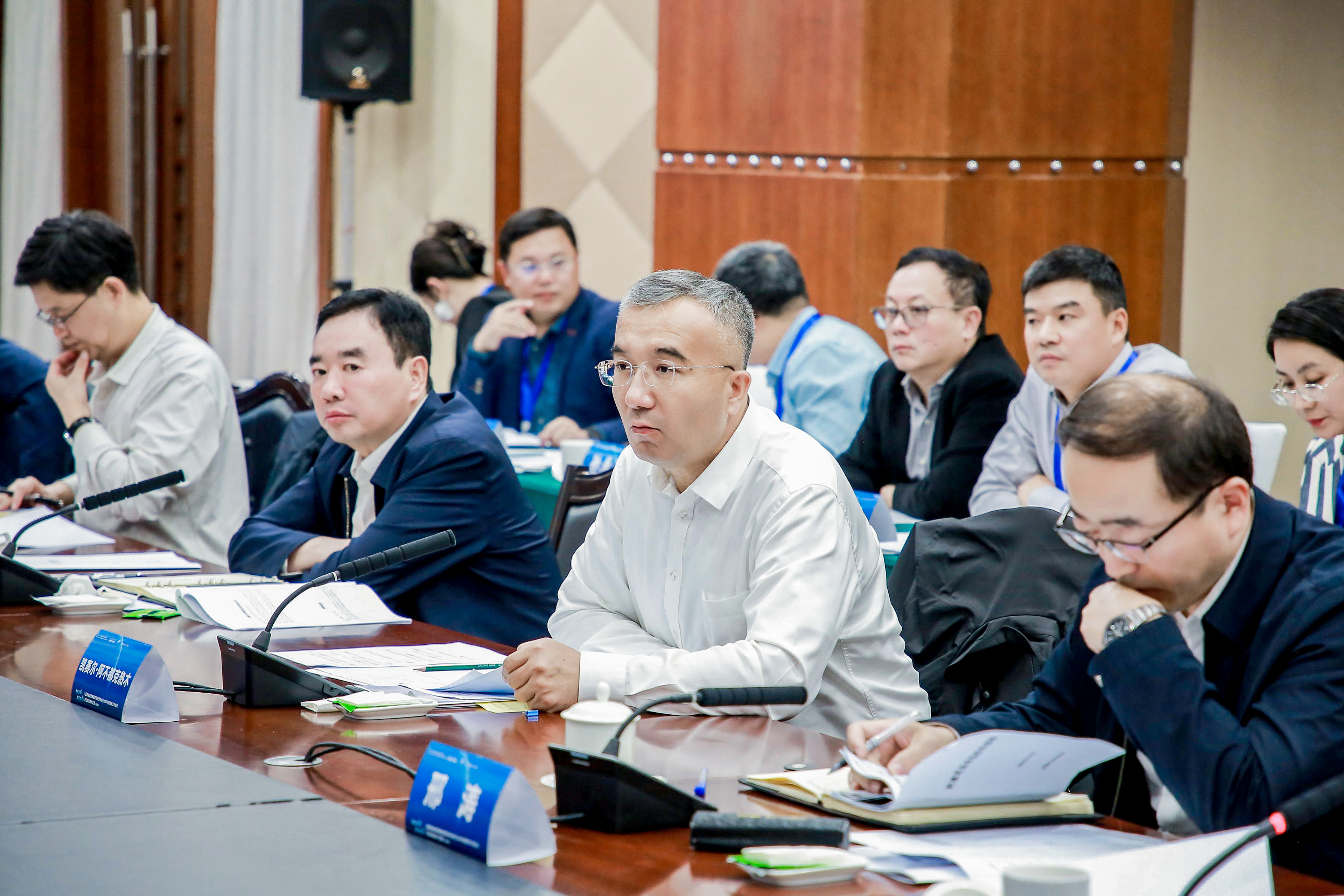 新疆維吾爾自治區(qū)政府黨組成員、副主席凱賽爾·阿不都克熱木.JPG